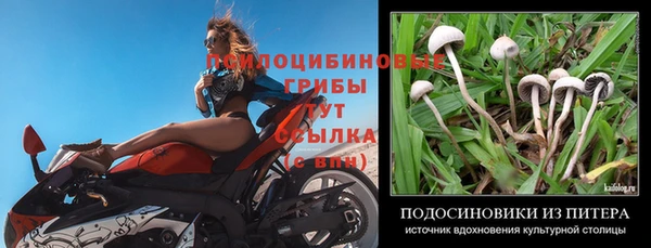 кокаин Ельня