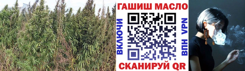 ТГК гашишное масло  Купить где  Семикаракорск 